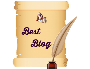 a best blog award 